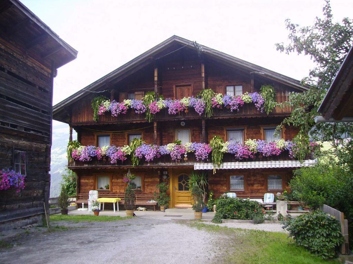 Appartamento Tatscherhof Hainzenberg Esterno foto